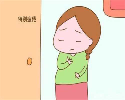 北京代孕中心包成功多少钱：喝豆浆对女人有什么好处